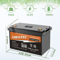 12V 100Ah bluetooth